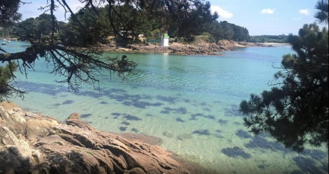 L'Hermine Terrasse Et Parking, 500 Plage Concarneau Zewnętrze zdjęcie